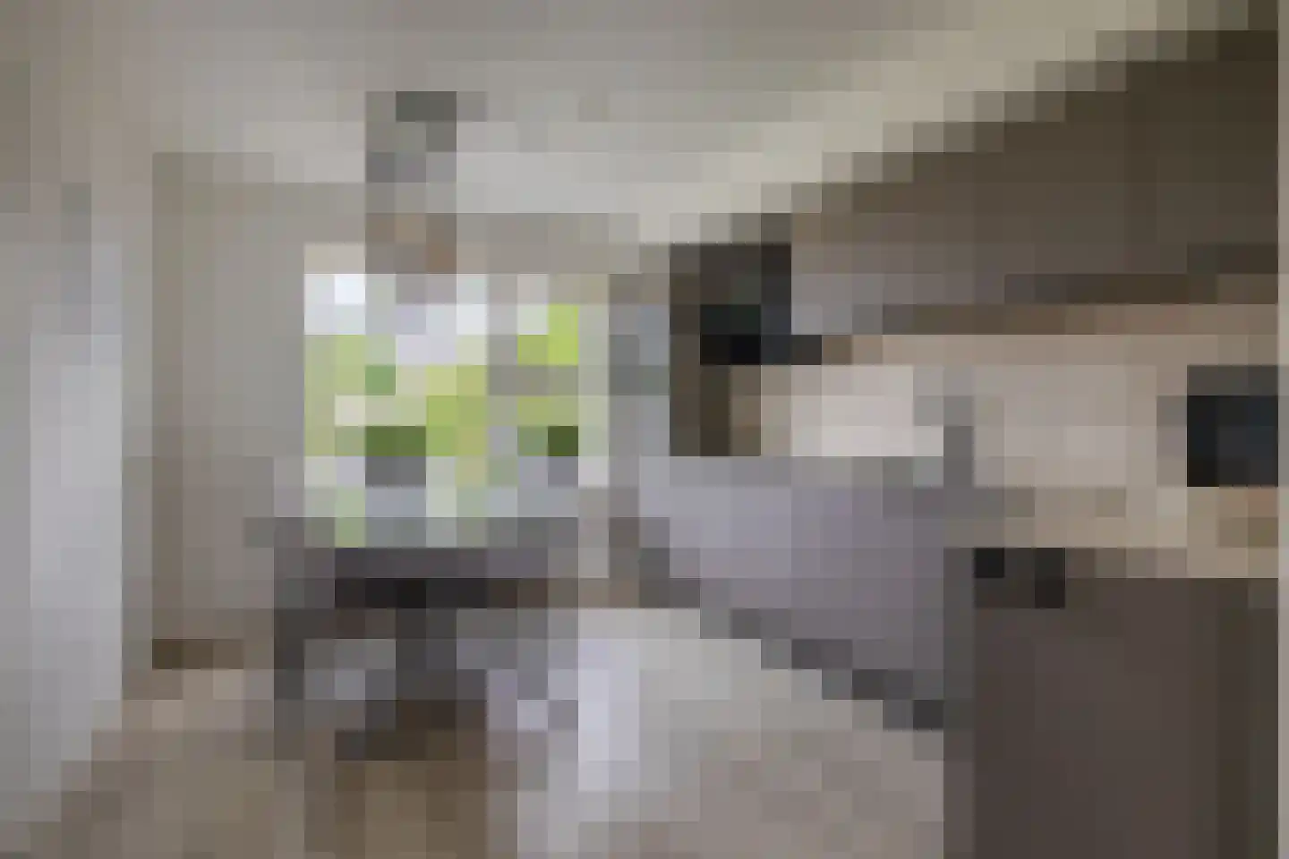 Kastanjehof 31 Winschoten thumbnail 11