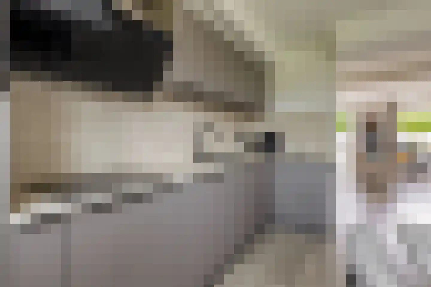 Kastanjehof 31 Winschoten thumbnail 13