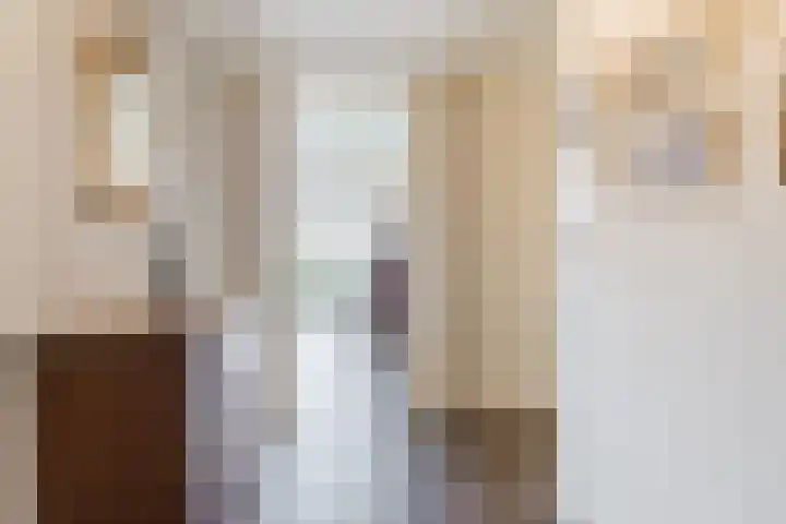 Kastanjehof 314 Geldrop thumbnail 10