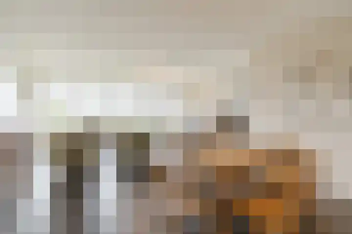 Kastanjehof 314 Geldrop thumbnail 11