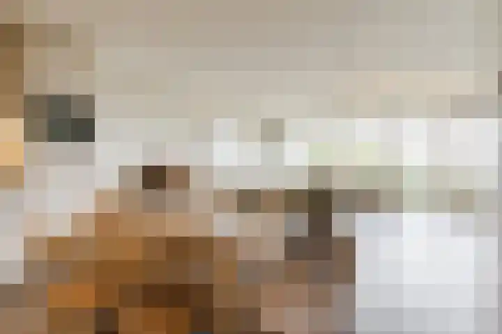 Kastanjehof 314 Geldrop thumbnail 12