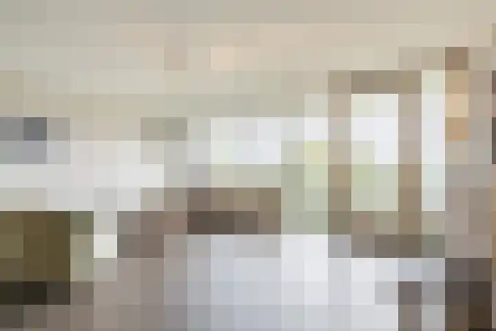 Kastanjehof 314 Geldrop thumbnail 13