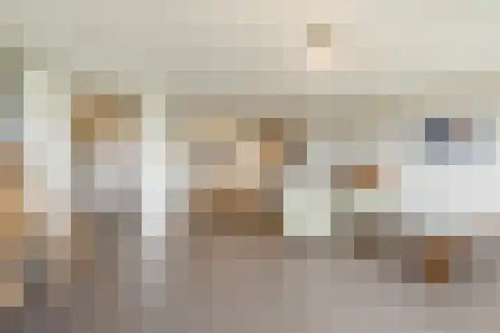 Kastanjehof 314 Geldrop thumbnail 16