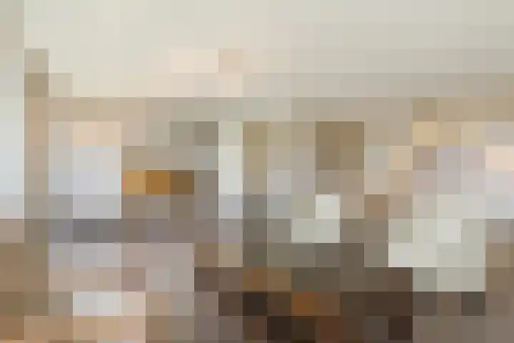 Kastanjehof 314 Geldrop thumbnail 17