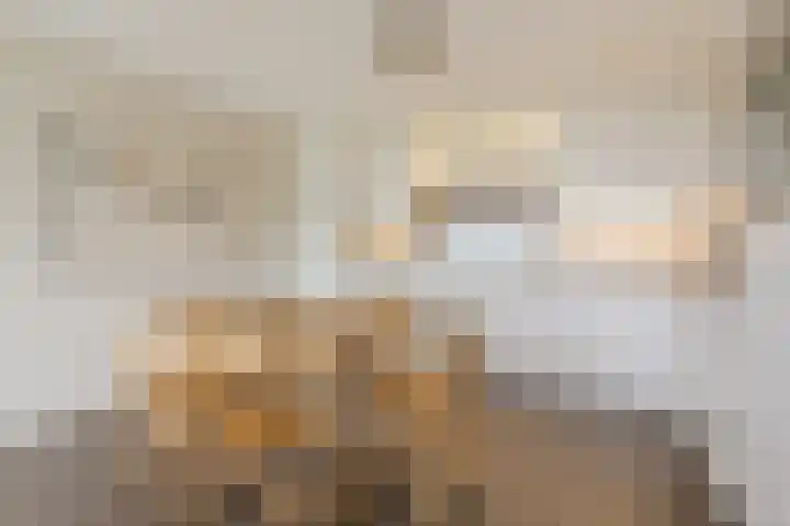 Kastanjehof 314 Geldrop thumbnail 18