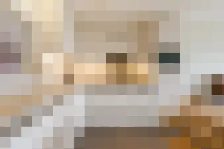 Kastanjehof 314 Geldrop thumbnail 20