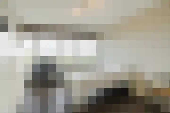Kastanjehof 314 Geldrop thumbnail 23