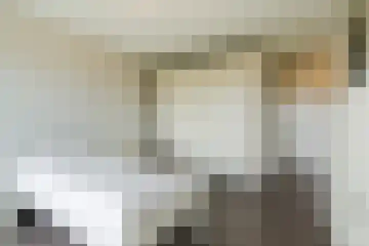 Kastanjehof 314 Geldrop thumbnail 24