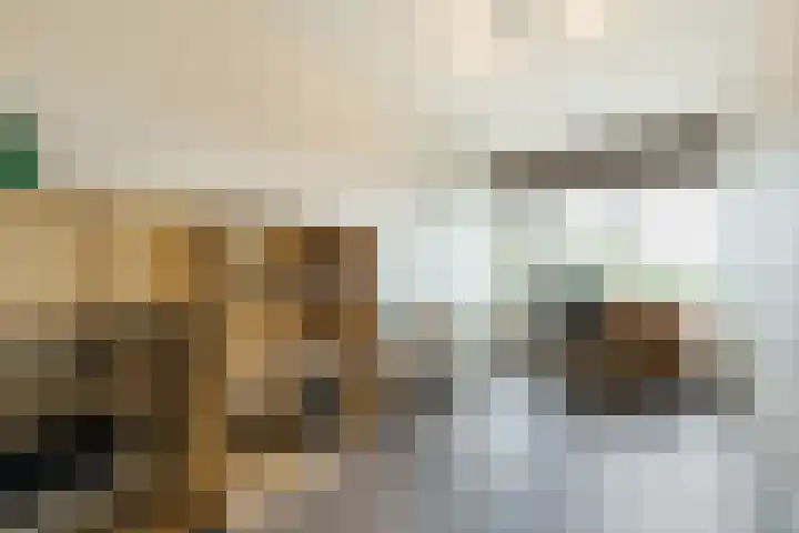 Kastanjehof 314 Geldrop thumbnail 25