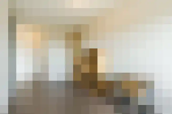 Kastanjehof 314 Geldrop thumbnail 26