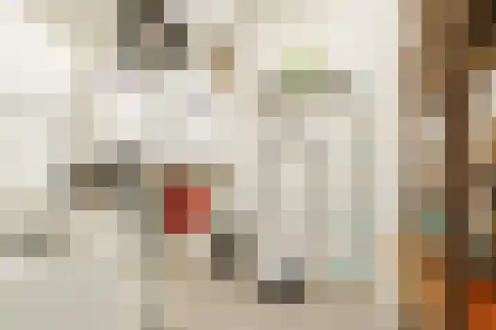 Kastanjehof 314 Geldrop thumbnail 30