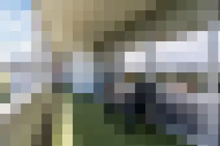 Kastanjehof 314 Geldrop thumbnail 33
