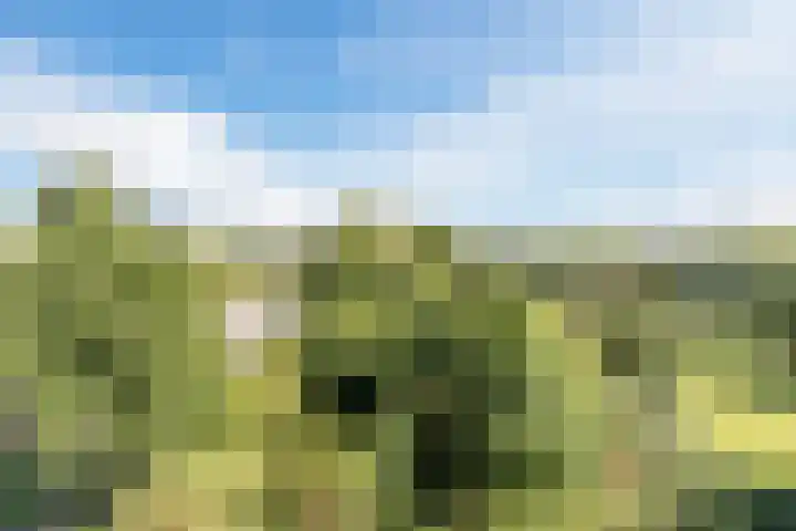 Kastanjehof 314 Geldrop thumbnail 35