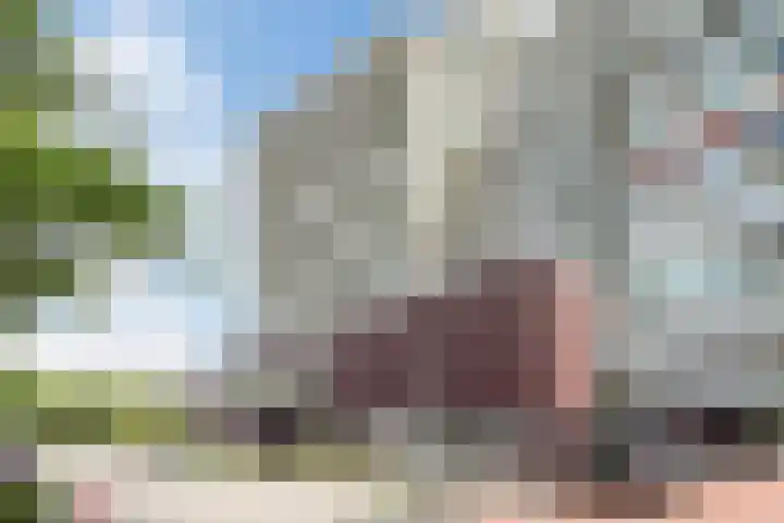 Kastanjehof 314 Geldrop thumbnail 37