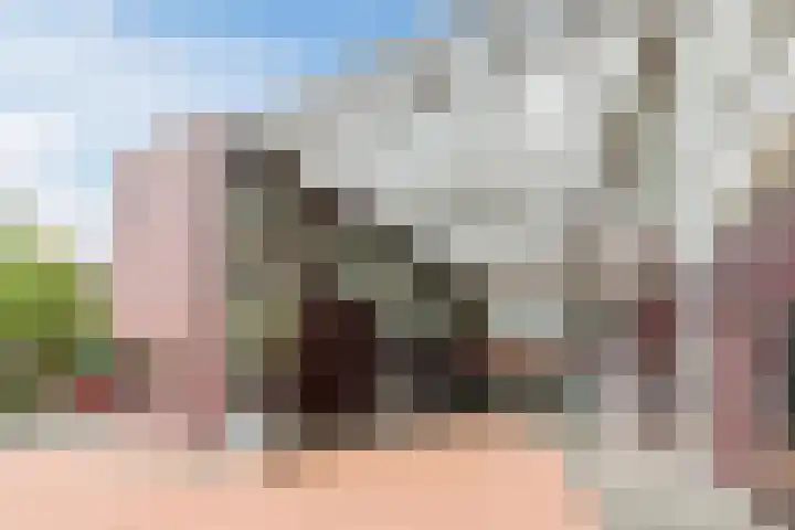 Kastanjehof 314 Geldrop thumbnail 4