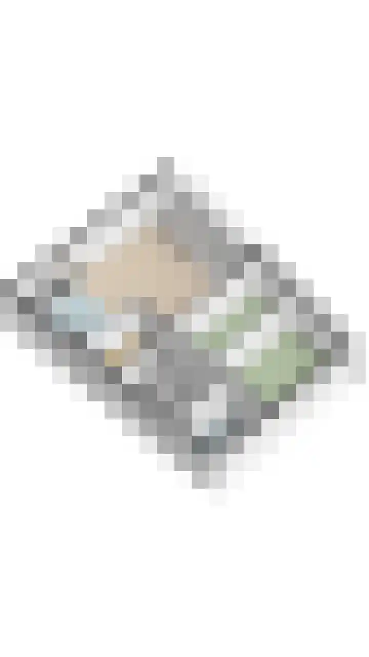 Kastanjehof 314 Geldrop thumbnail 40
