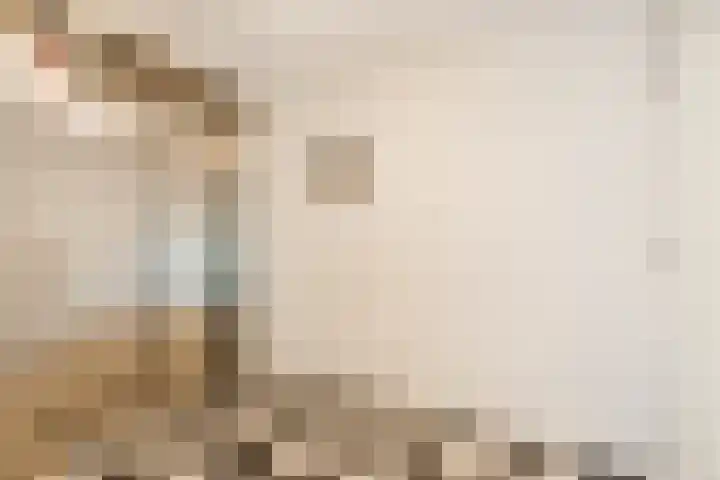 Kastanjehof 314 Geldrop thumbnail 7