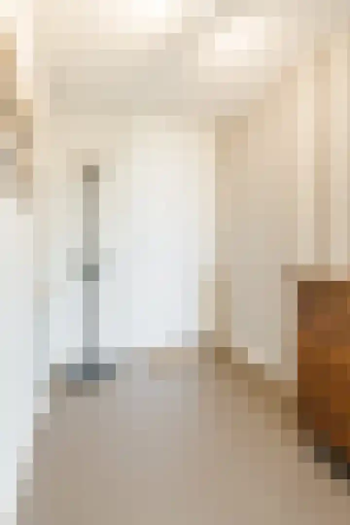 Kastanjehof 314 Geldrop thumbnail 9