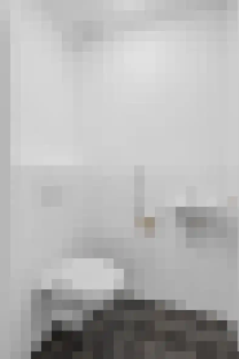 Kastanjehof 331 Geldrop thumbnail 38