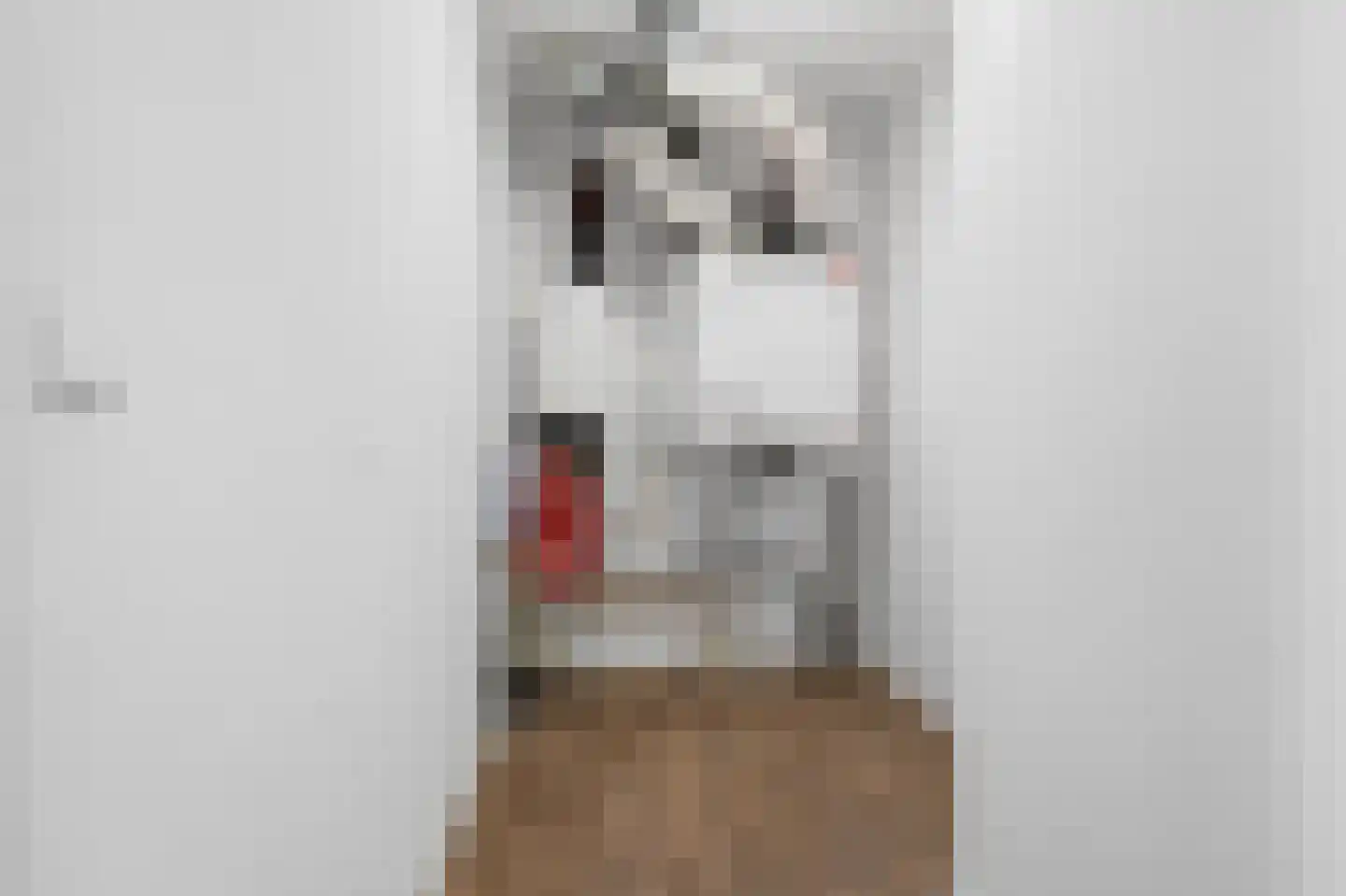 Kastanjehof 331 Geldrop thumbnail 43