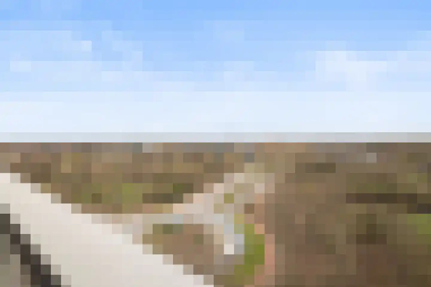 Kastanjehof 331 Geldrop thumbnail 46