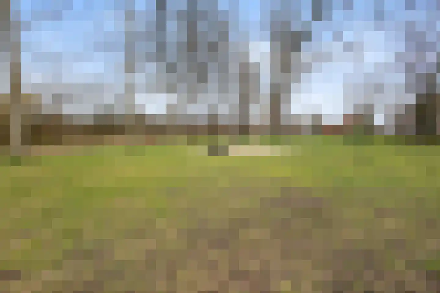 Kastanjehof 331 Geldrop thumbnail 53