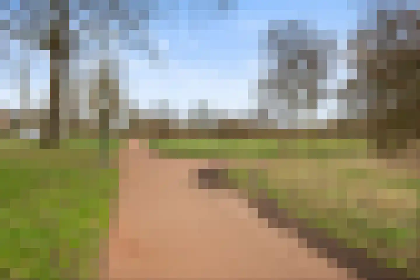 Kastanjehof 331 Geldrop thumbnail 54