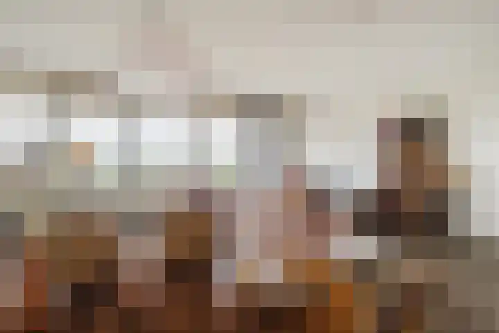 Kastanjehof 334 Geldrop thumbnail 12