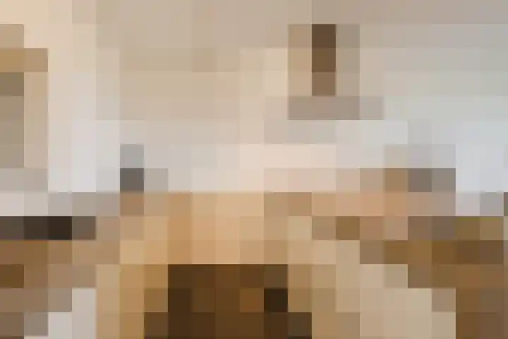 Kastanjehof 334 Geldrop thumbnail 18