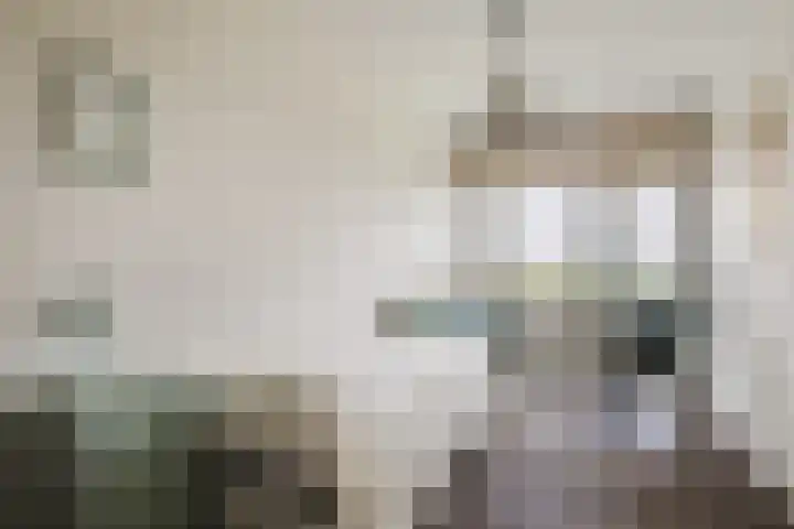 Kastanjehof 334 Geldrop thumbnail 22