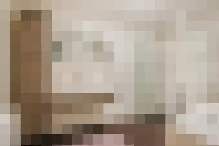 Kastanjehof 334 Geldrop thumbnail 24