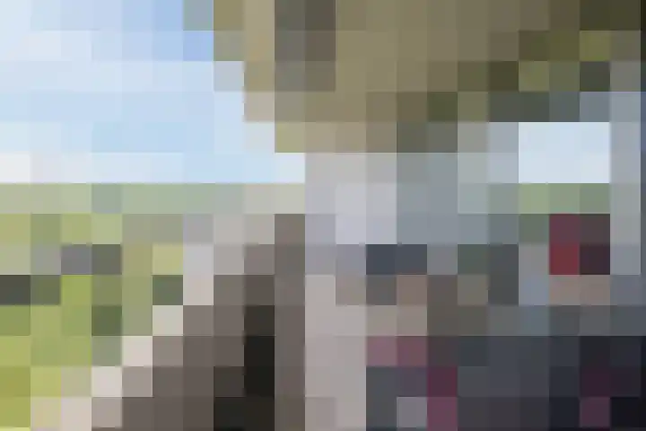 Kastanjehof 334 Geldrop thumbnail 29