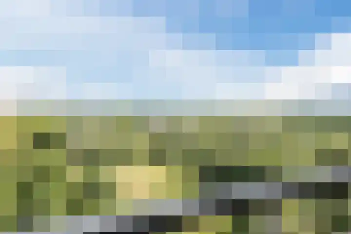 Kastanjehof 334 Geldrop thumbnail 31