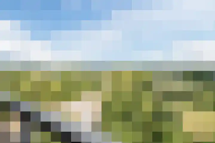 Kastanjehof 334 Geldrop thumbnail 32