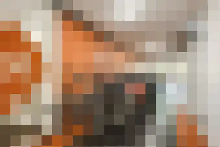 Kastanjehof 334 Geldrop thumbnail 33