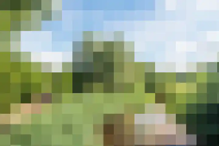 Kastanjehof 334 Geldrop thumbnail 34