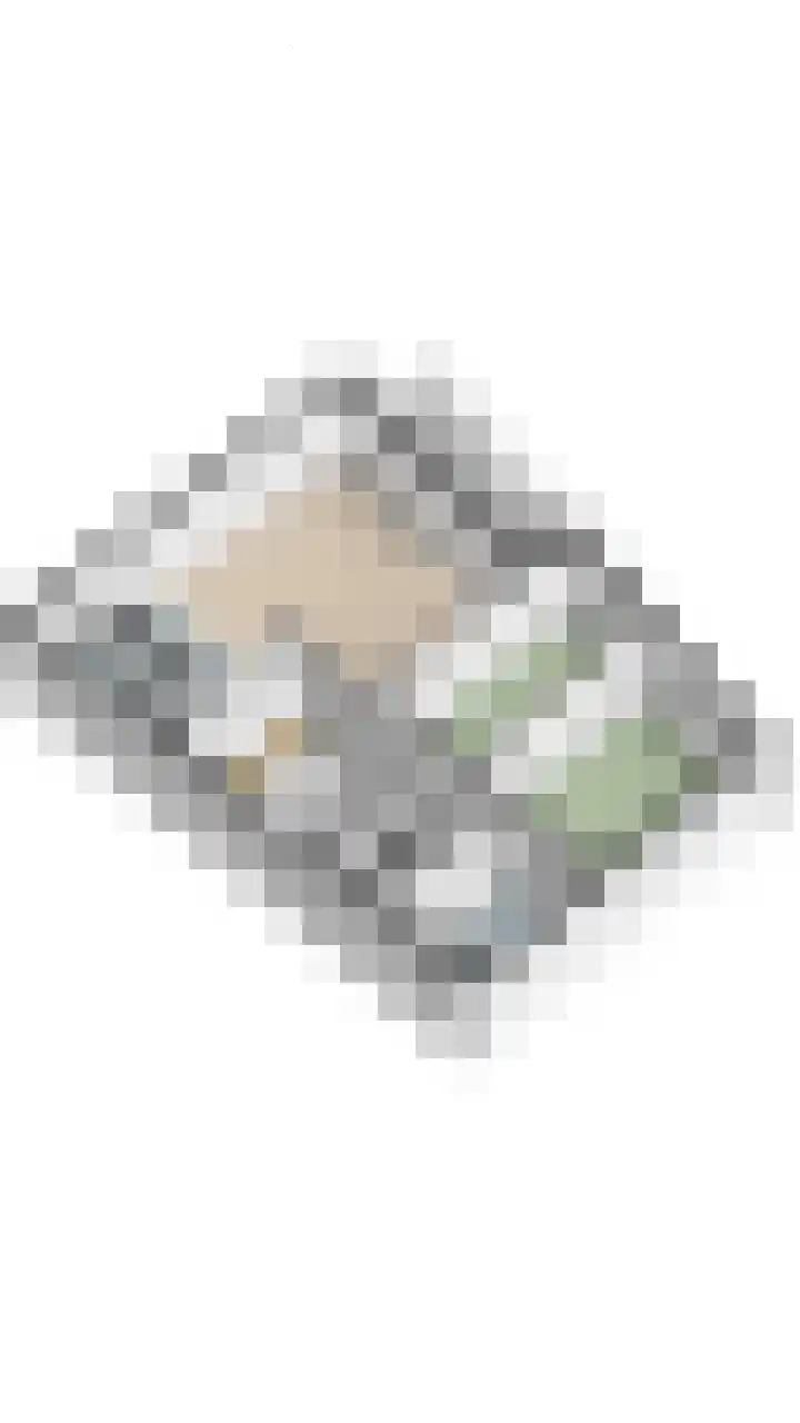 Kastanjehof 334 Geldrop thumbnail 36