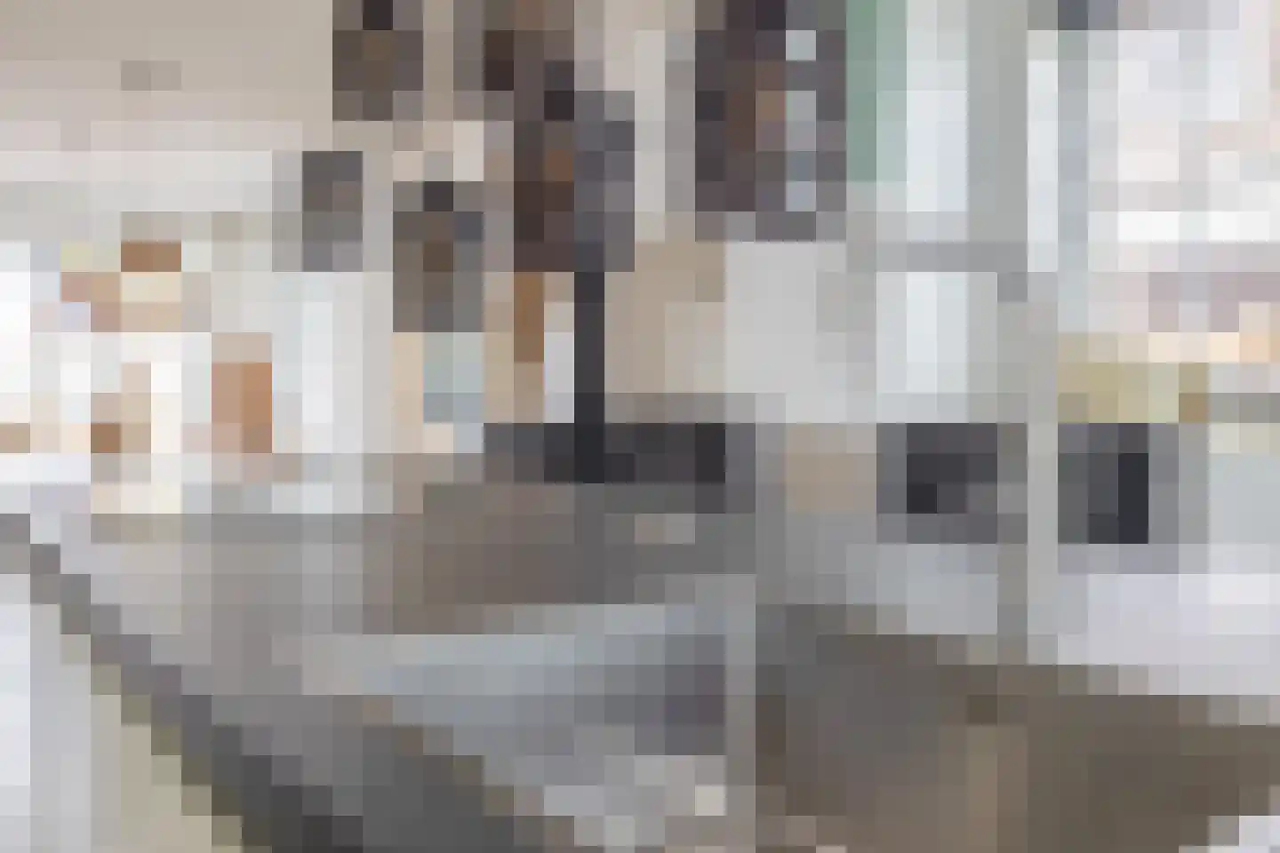 Kastanjehof 34 Winschoten thumbnail 14