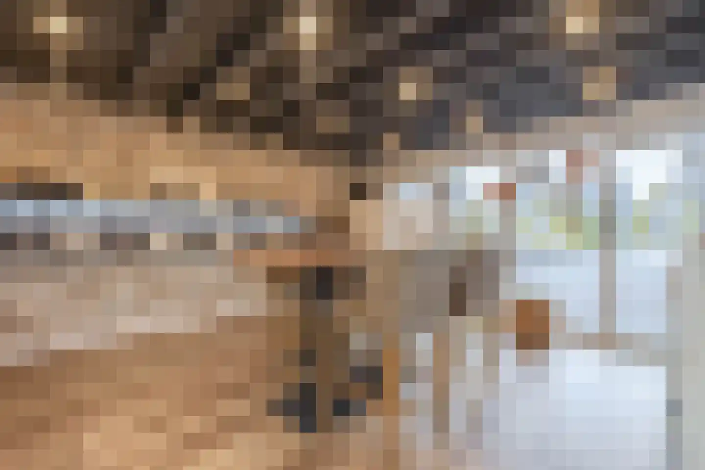 Kastanjehof 34 Winschoten thumbnail 21