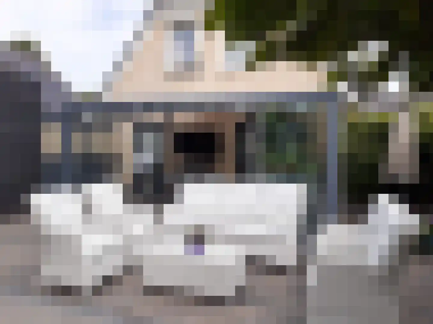Kastanjehof 34 Winschoten thumbnail 27