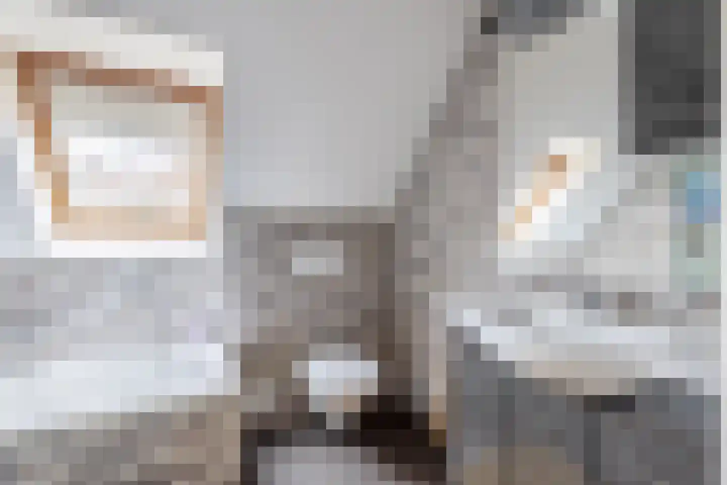 Kastanjehof 34 Winschoten thumbnail 33