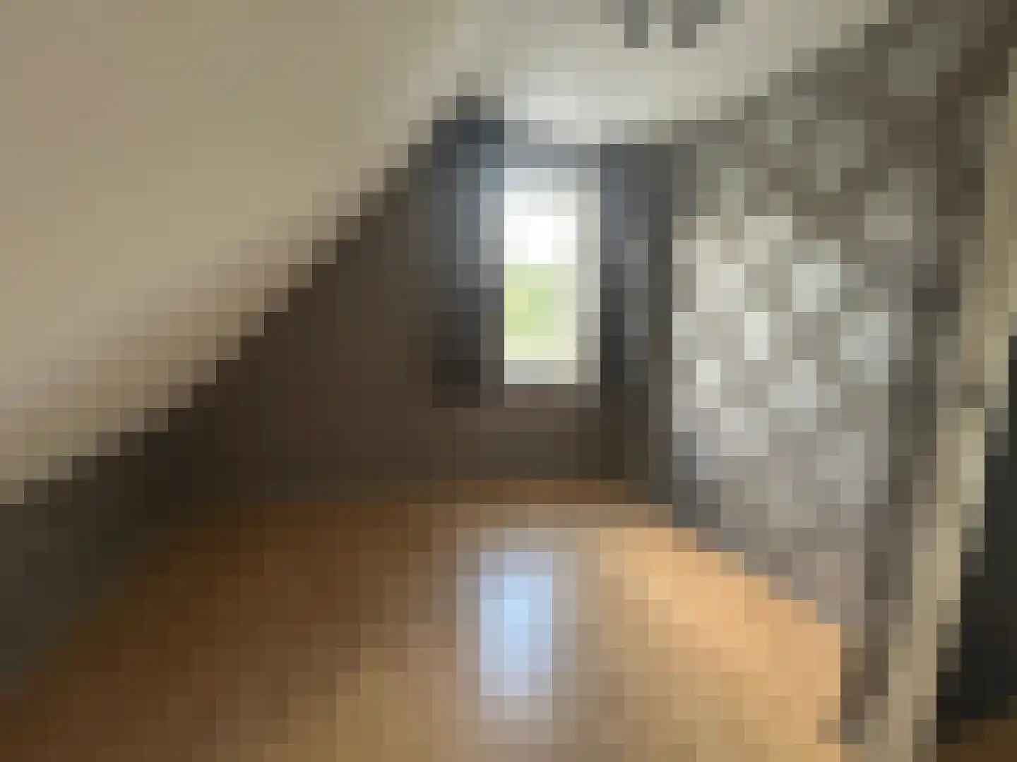 Kastanjehof 34 Winschoten thumbnail 39