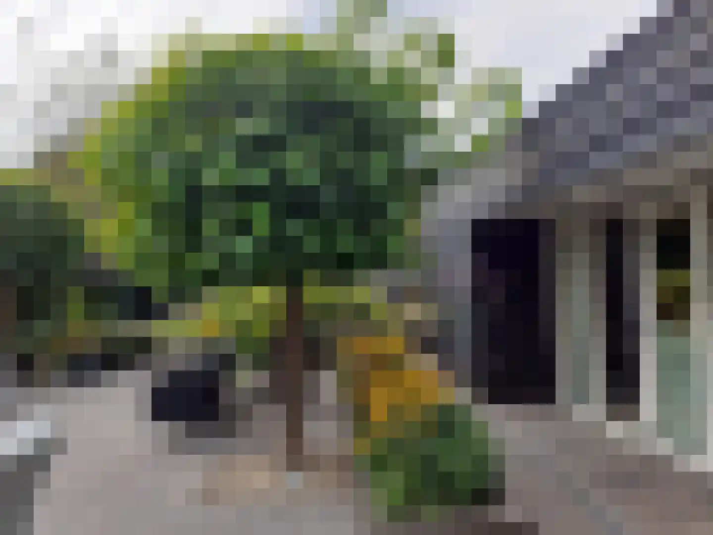 Kastanjehof 34 Winschoten thumbnail 39
