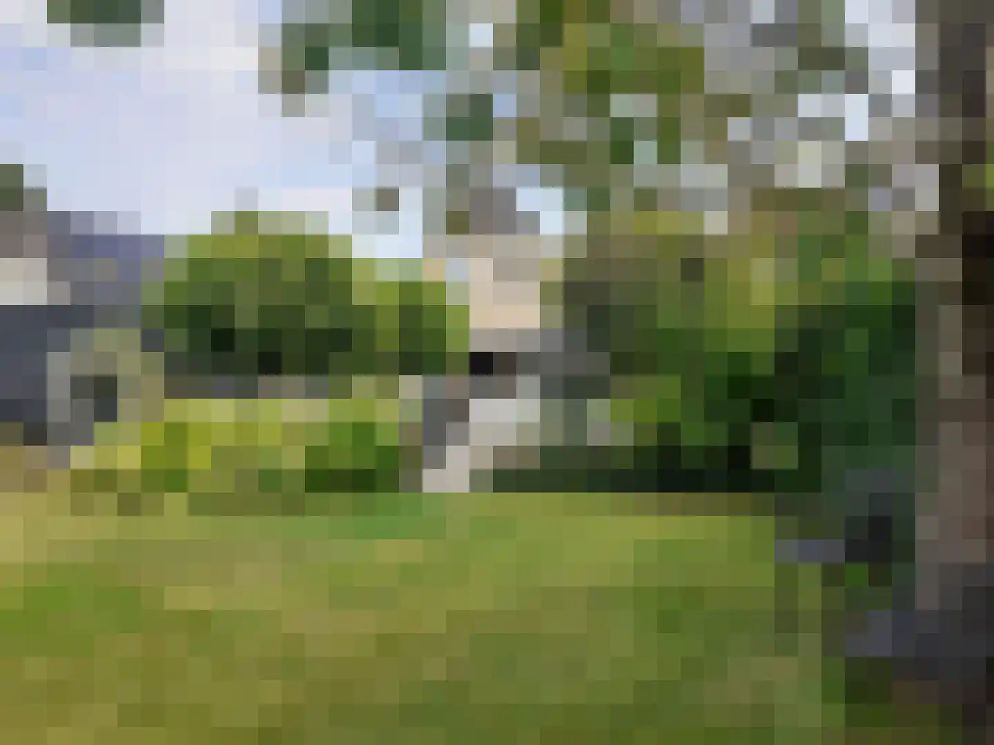 Kastanjehof 34 Winschoten thumbnail 42