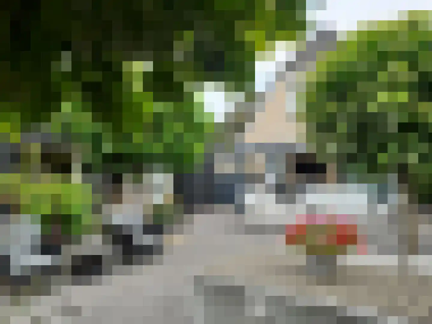 Kastanjehof 34 Winschoten thumbnail 45