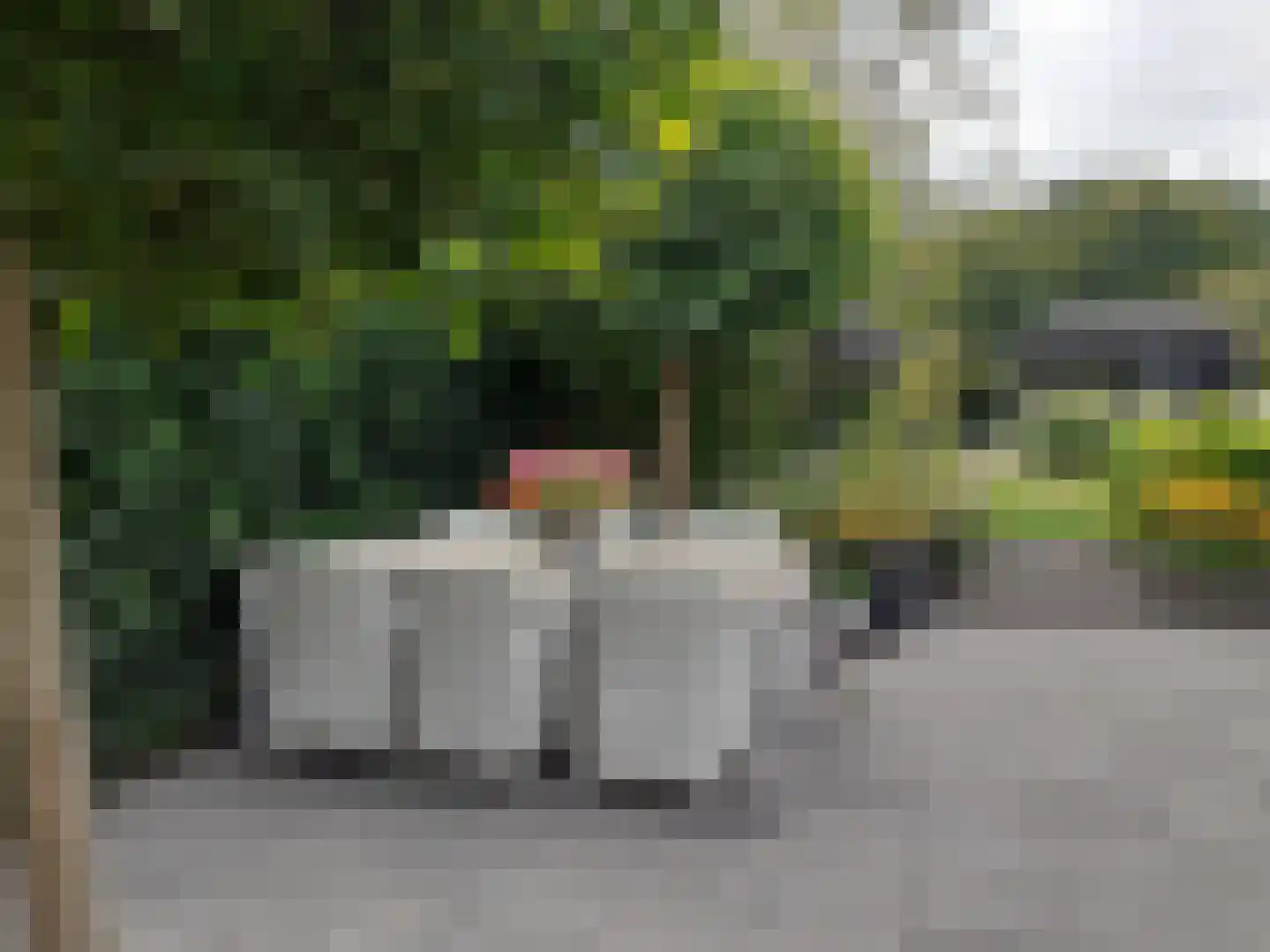 Kastanjehof 34 Winschoten thumbnail 47