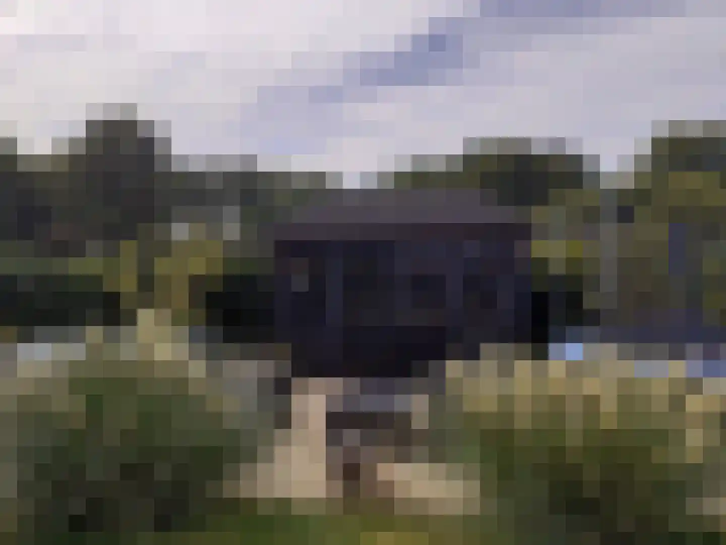 Kastanjehof 34 Winschoten thumbnail 49