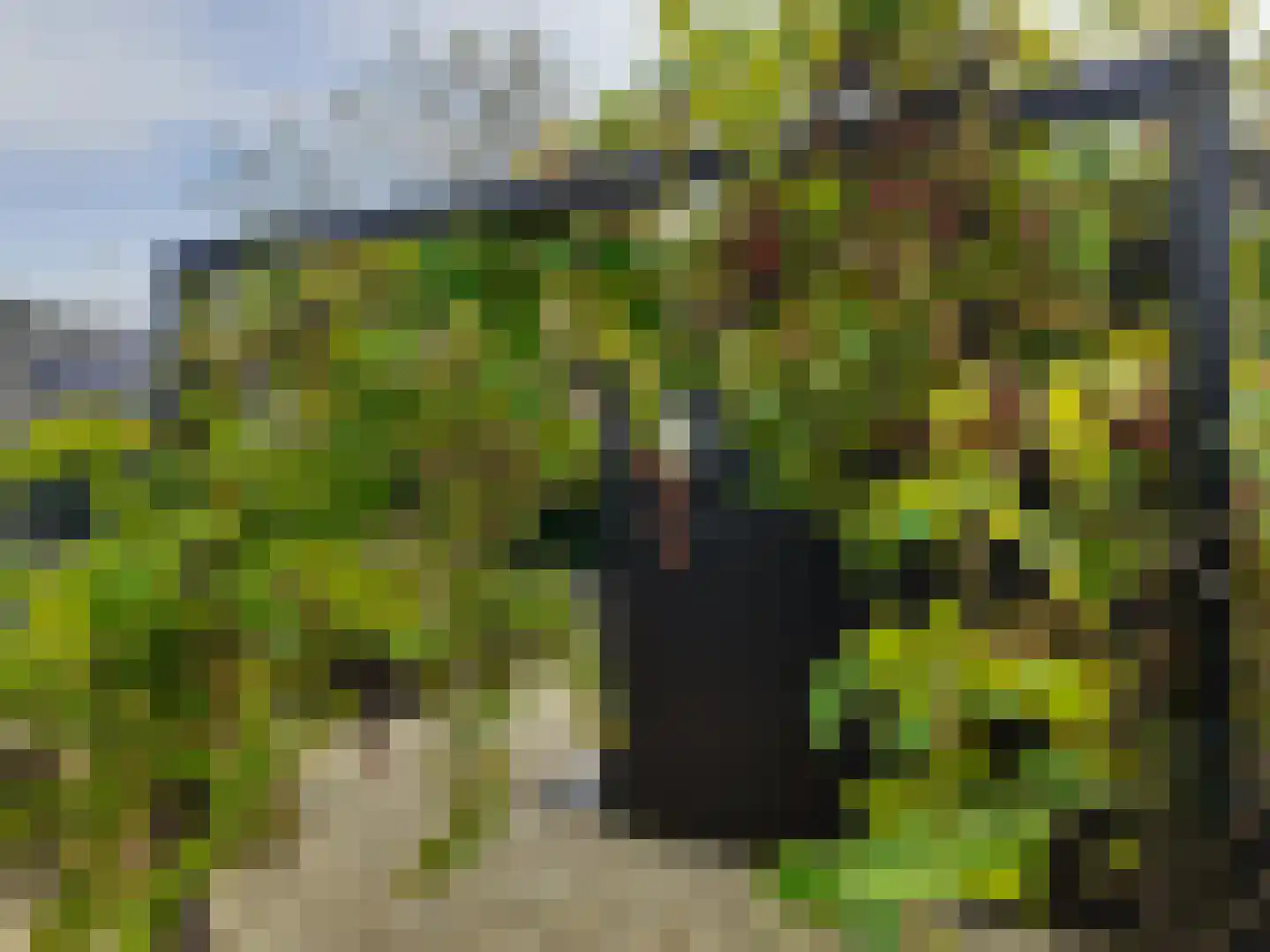 Kastanjehof 34 Winschoten thumbnail 50
