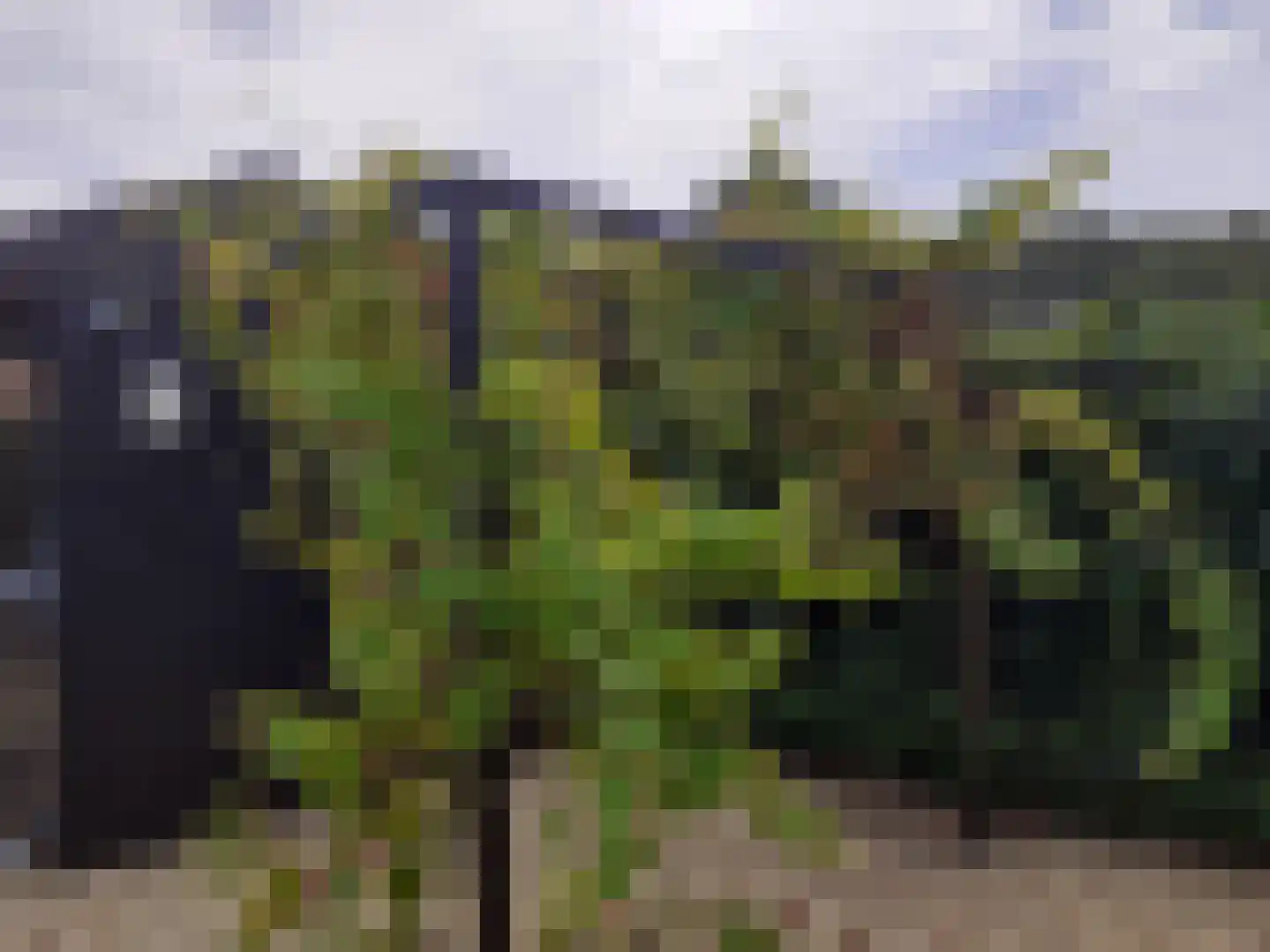 Kastanjehof 34 Winschoten thumbnail 51