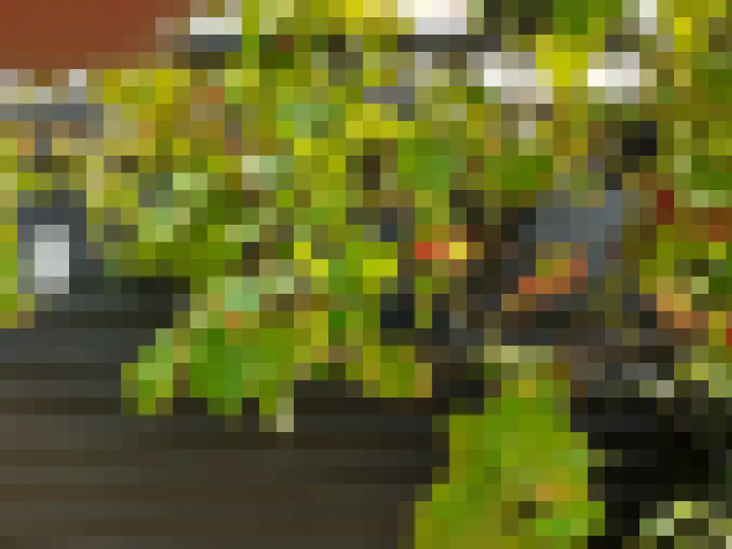 Kastanjehof 34 Winschoten thumbnail 52